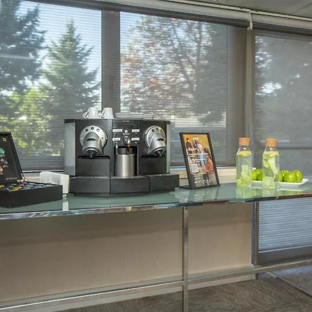 라디슨 블루 4* 앙카라