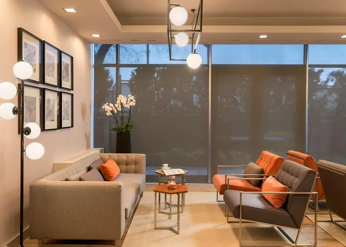 安卡拉丽笙布鲁酒店 酒店