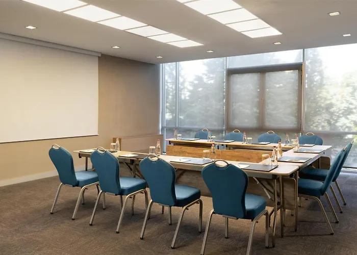 ホテル ラディソン ブルー 4*